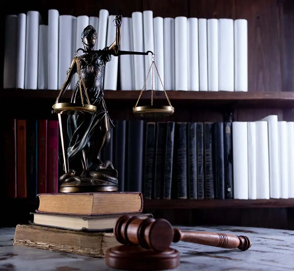 Law & Legal Studies